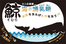 2015年冬のミニ企画展　「鯨（くじら）～海の哺乳類　お乳もあればヒゲもある！？～」