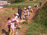 通学路の草刈り