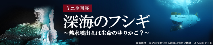 ミニ企画展「深海のフシギ～熱水噴出孔は生命のゆりかご？～」