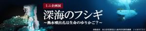 ミニ企画展「深海のフシギ　～熱水噴出孔は生命のゆりかご？～」