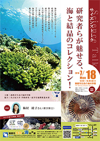 サイエンストーク「研究者らが魅せる、海と結晶のコレクション！」