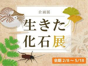 企画展「生きた化石展」のバナー画像