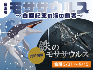 企画展「モササウルス 〜白亜紀末の海の覇者〜」のバナー画像