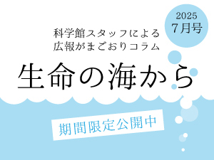 科学館スタッフによる広報がまごおりコラム「生命の海から」のバナー画像