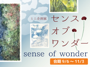 ミニ企画展「センス・オブ・ワンダー」のバナー画像