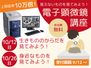 電子顕微鏡講座のバナー画像