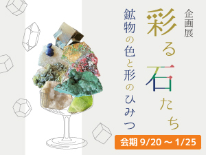 企画展「彩る石たち 〜鉱物の色と形のひみつ〜」のバナー画像