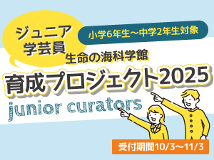 生命の海科学館ジュニア学芸員育成プロジェクト2025のバナー画像
