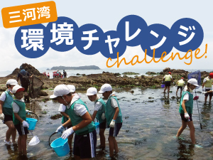 三河湾環境チャレンジのバナー画像