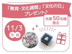 「教育・文化週間」「文化の日」プレゼント♪のバナー画像