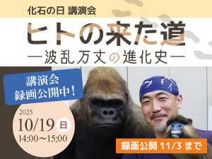 化石の日講演会「ヒトの来た道 ー波乱万丈の進化史ー」のバナー画像