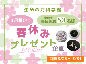 3月限定！春休みプレゼント企画のバナー画像