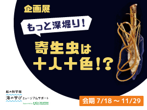 企画展「もっと深堀り！寄生虫は十人十色！？」バナー画像