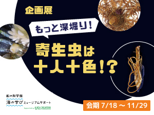企画展「もっと深堀り！寄生虫は十人十色！？」バナー画像