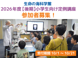 2026年度小学生向け定例講座後期参加者募集のバナー画像
