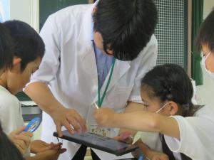 環チャレ