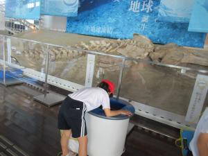 社会見学