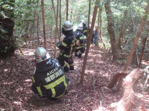 消防隊員がホースを持ち山を登る様子です