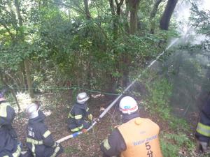 消防隊員が延長したホースで放水活動をしている様子です