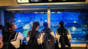品川水族館