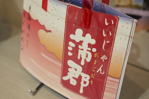 温浴バッグ